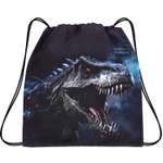 Мешок для обуви School Standard