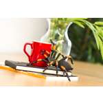 Фигурка Safari Ltd. Паук Тарантул XL