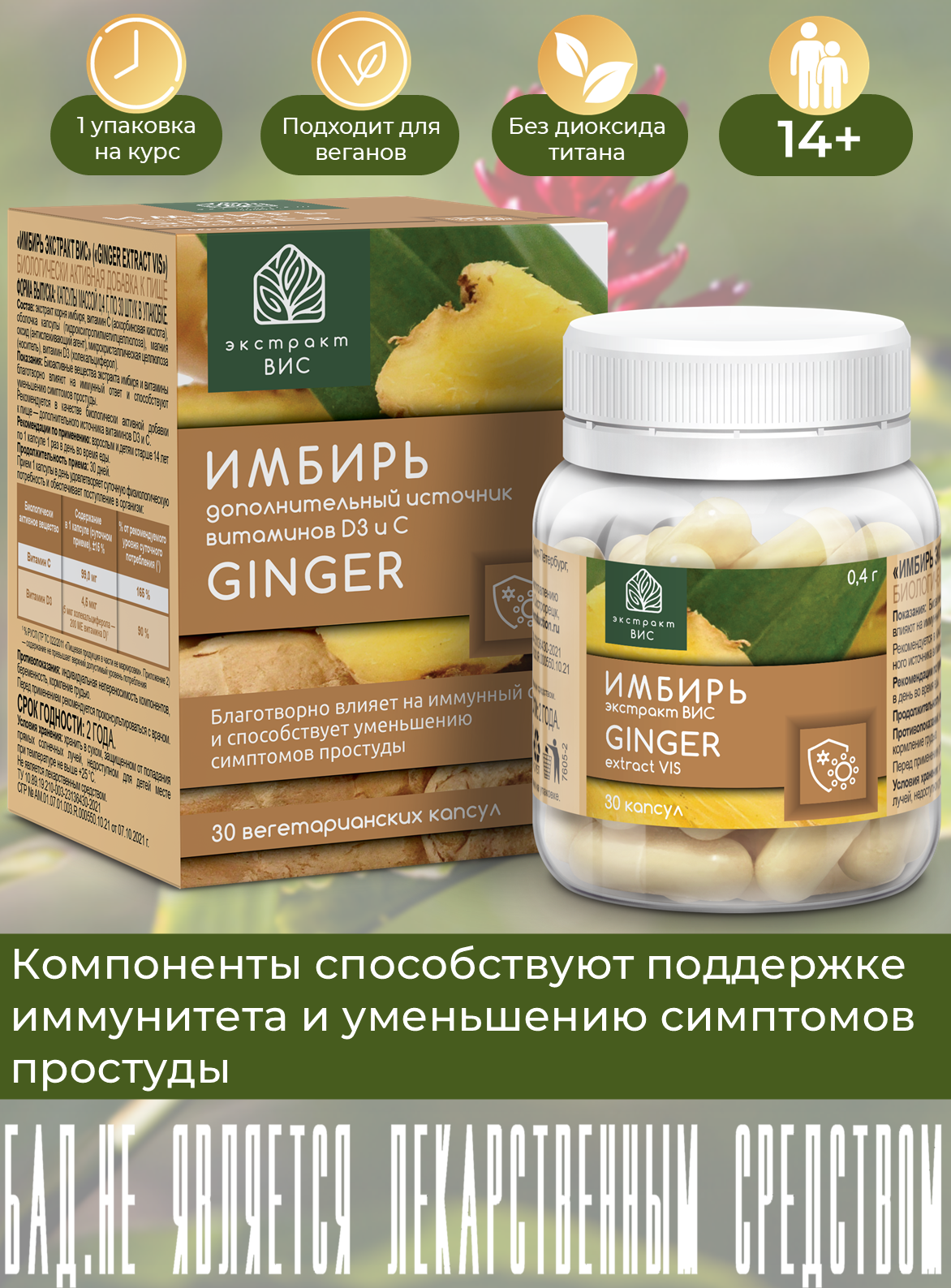 БАД Экстракт-ВИС Имбирь №30 - фото 1
