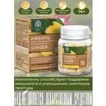 БАД Экстракт-ВИС Имбирь №30