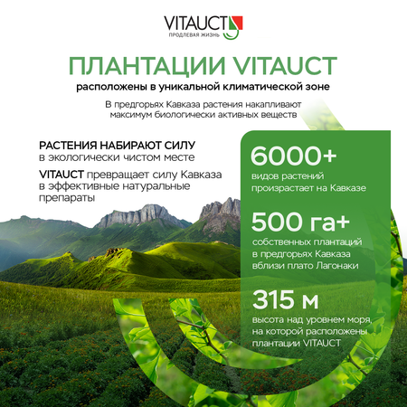Жидкий коллоидный полиэкстракт VITAUCT Пустырник Экспресс Форте