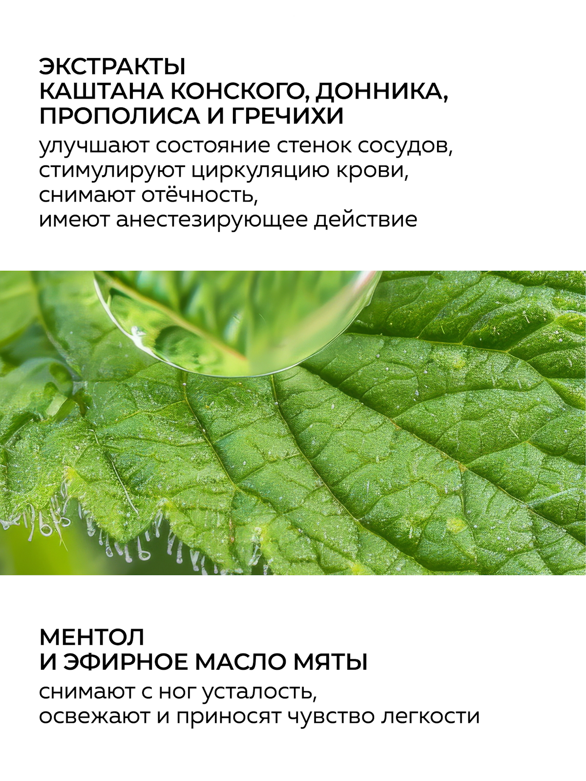 Крем Green Mama для ног освежающий с каштаном 170 мл 1 шт. - фото 4