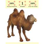 Игровой набор Masai Mara Верблюд