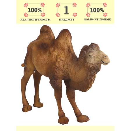 Игровой набор Masai Mara Верблюд