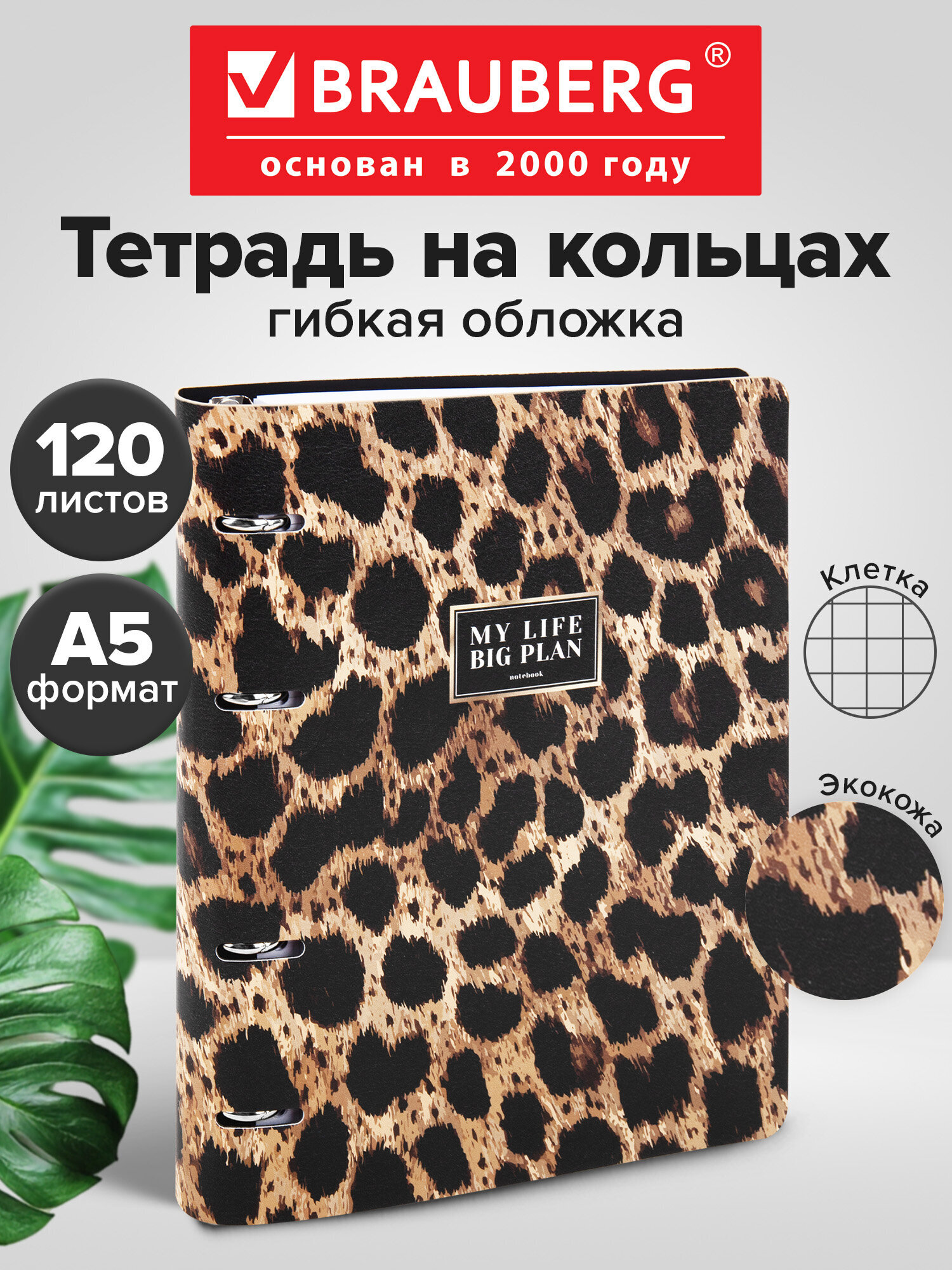 Тетрадь со сменным блоком Brauberg клетка 120 лист. - фото 1