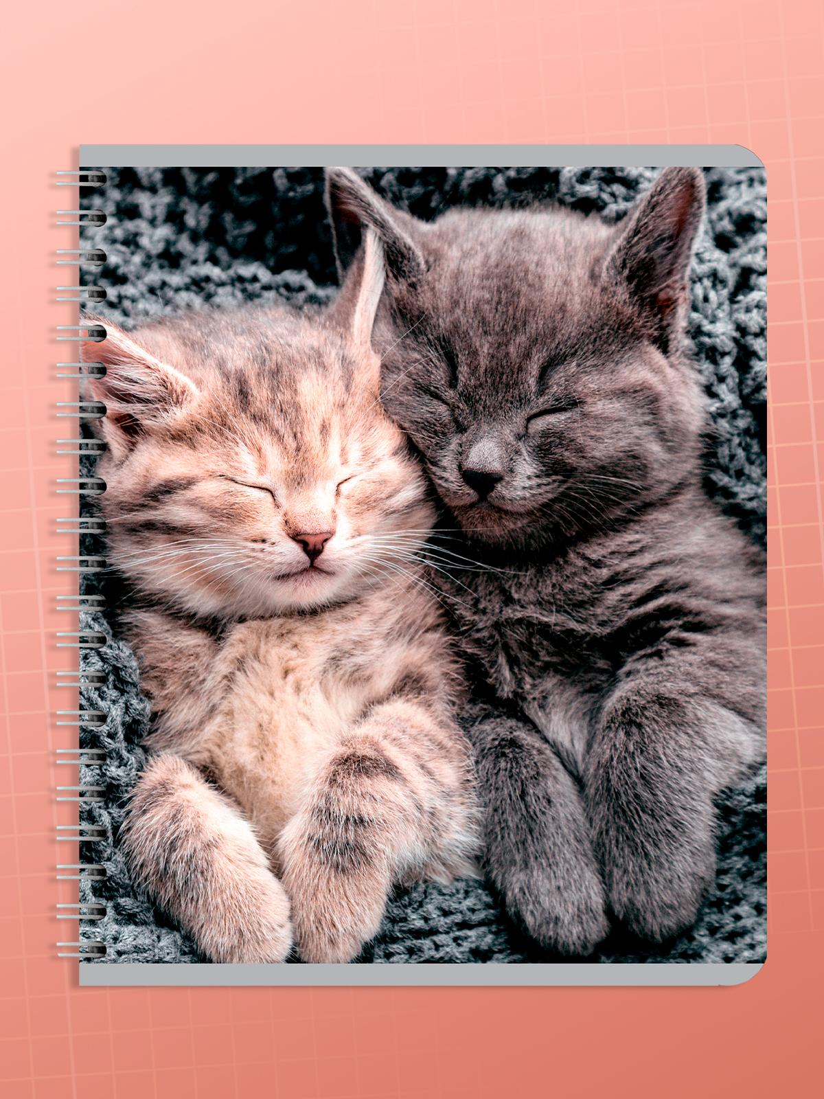 Тетрадь AXLER клетка 96 лист. 4 шт. - фото 8