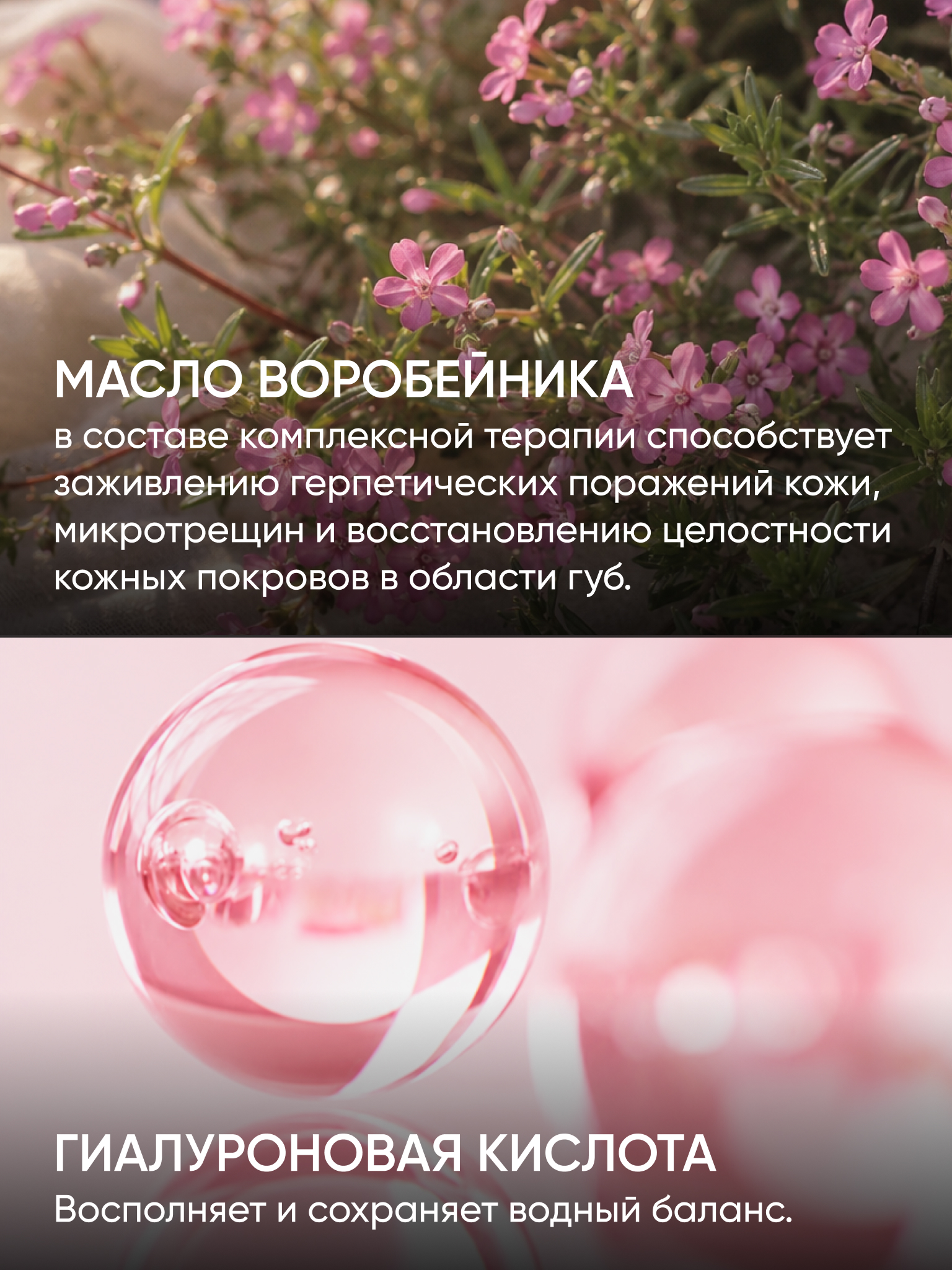 Гиалуроновый бальзам для губ KOROLKOVA с маслом воробейника - фото 3