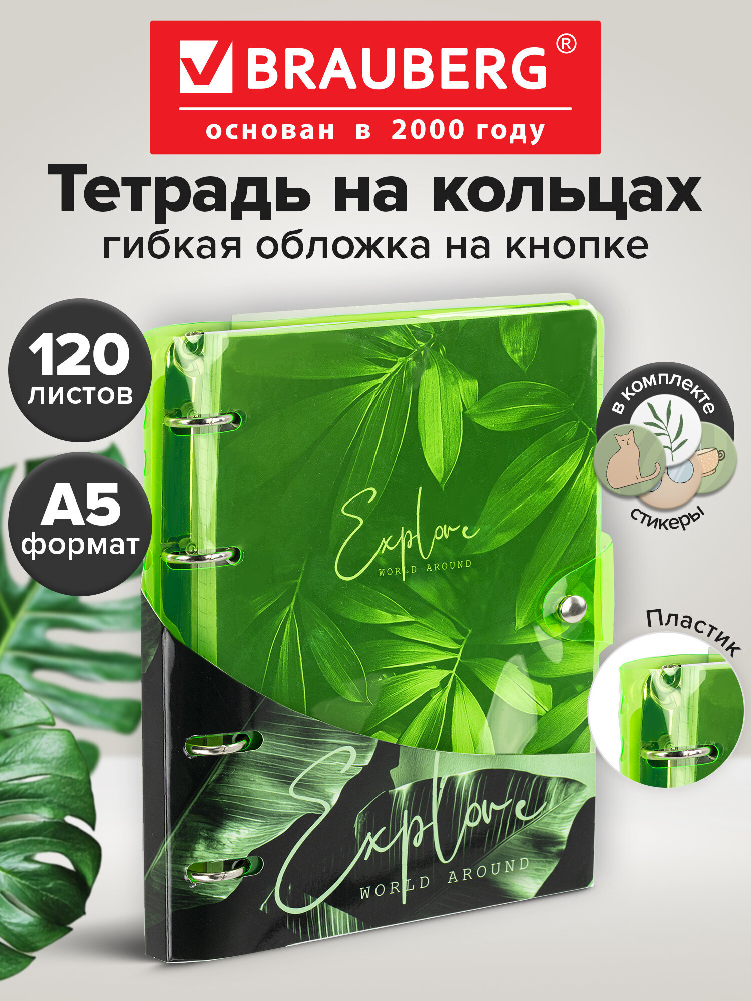 Изображение товара Тетрадь со сменным блоком Brauberg Vibe А5 с клеткой и полями
