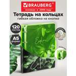 Тетрадь со сменным блоком Brauberg клетка 120 лист.
