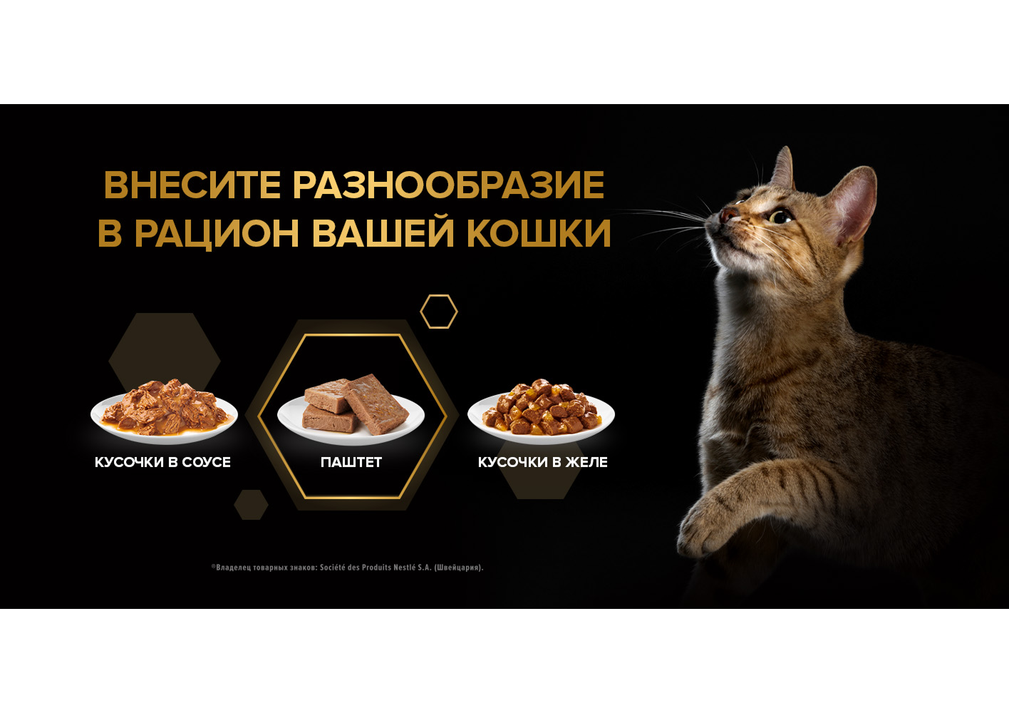 Корм влажный для кошек PRO PLAN MAINTENANCE 75г паштет с индейкой для стерилизованных - фото 17
