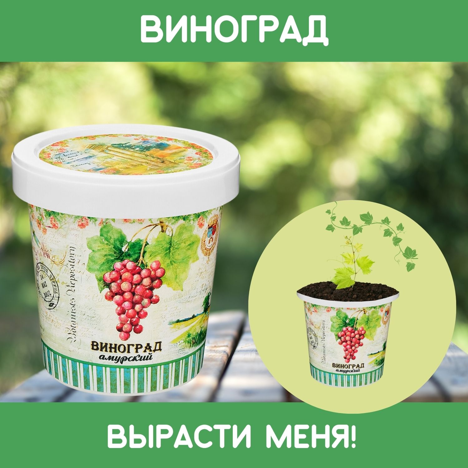 Набор для выращивания Rostok Visa - фото 1