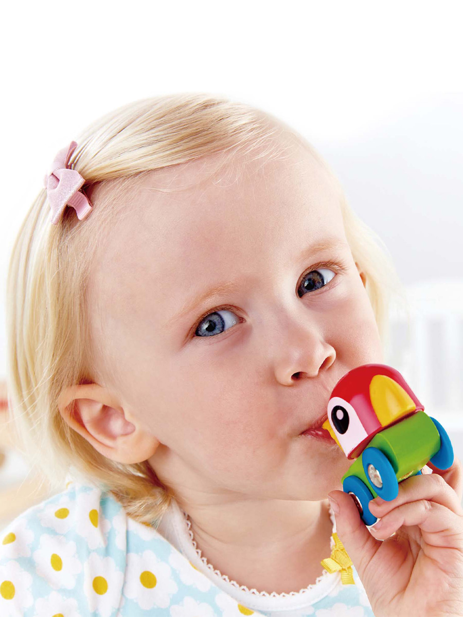 Игрушка Hape каталка Свистящий попугайчик - фото 1