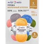 Пряжа для вязания Astra Premium 50г 100м 5шт