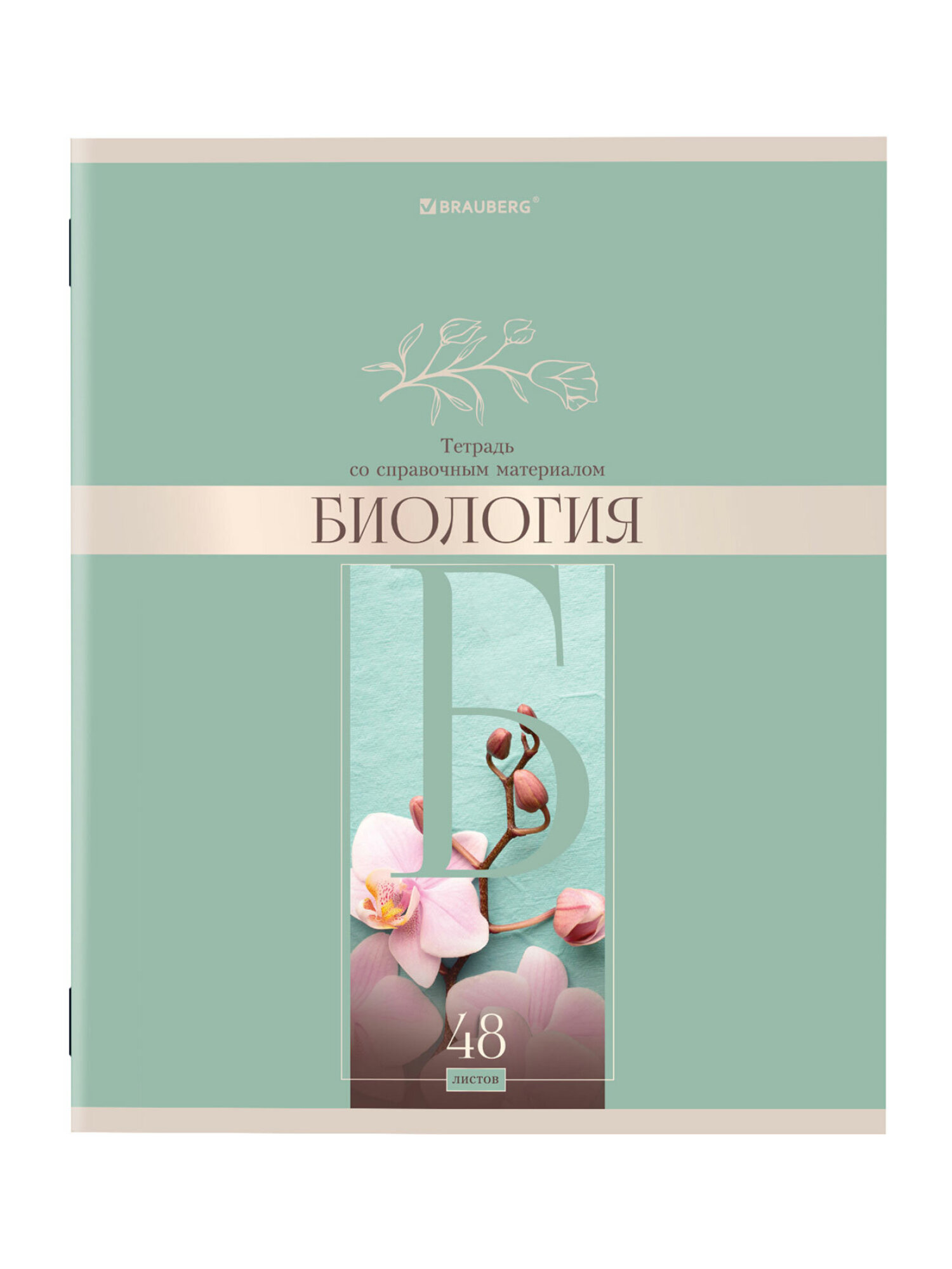 Тетрадь Brauberg 48 лист. 12 шт. - фото 20
