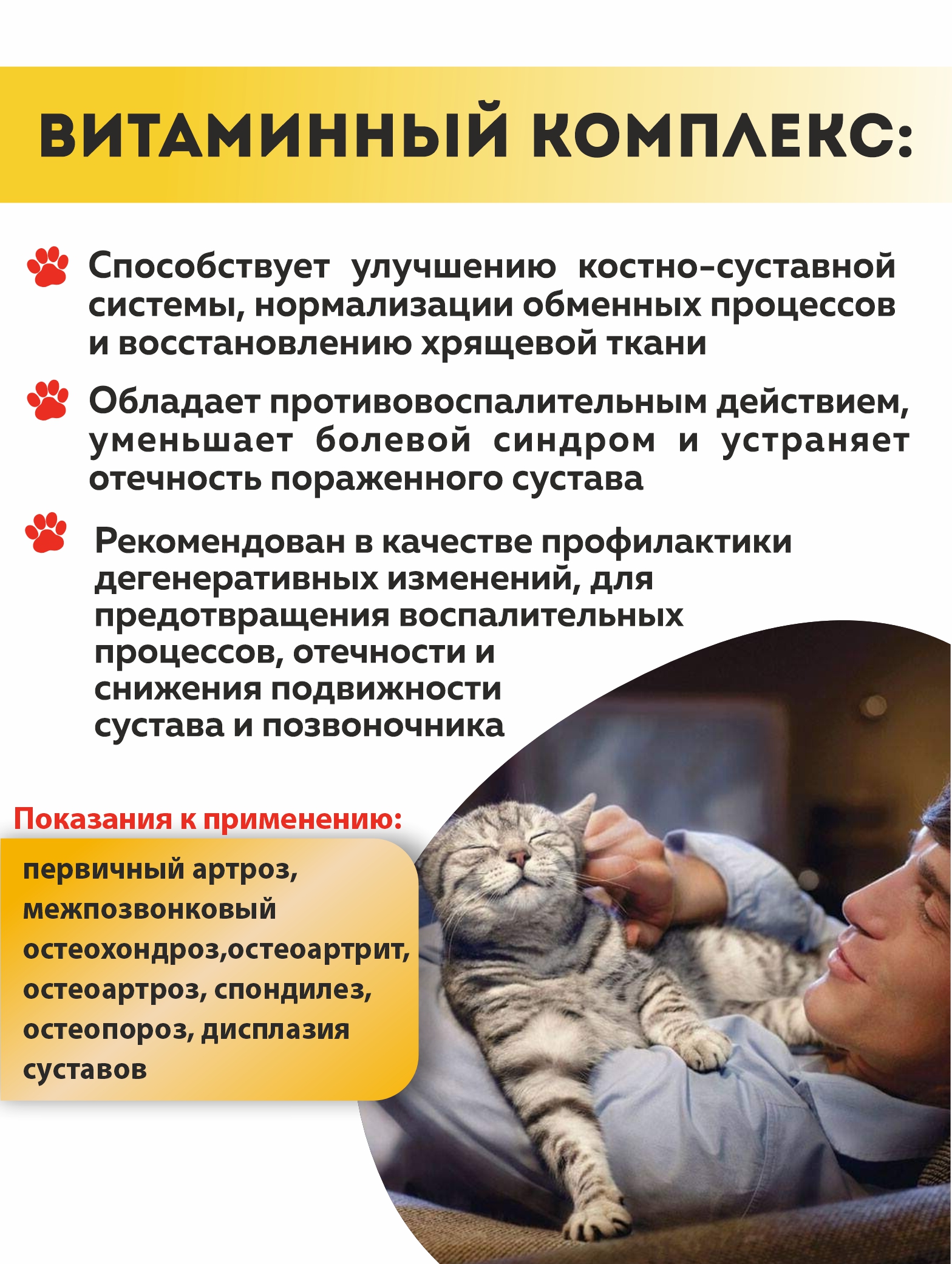 Витаминный комплекс ALTAI ANIMAL для кошек Здоровые суставы крепкие кости - фото 2