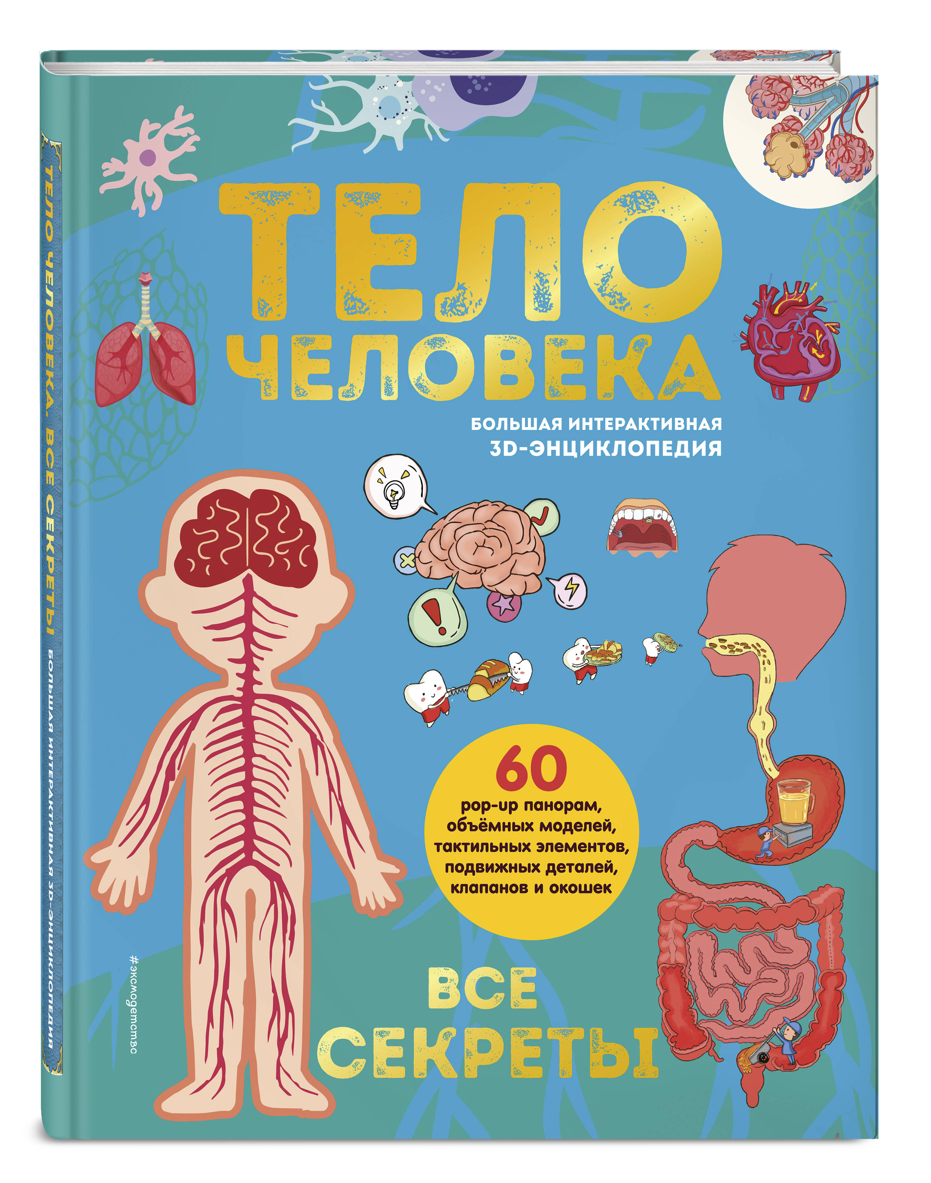 Книга Эксмо Тело человека Все секреты 3D - фото 6