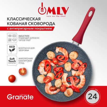 Сковорода для индукционной плиты Moulin Villa Granate 24 см