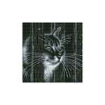 Алмазная мозаика Белоснежка Любопытный сосед