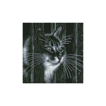 Алмазная мозаика Белоснежка Любопытный сосед