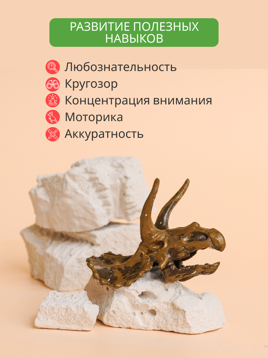 Набор для раскопок KONIK Science - фото 7