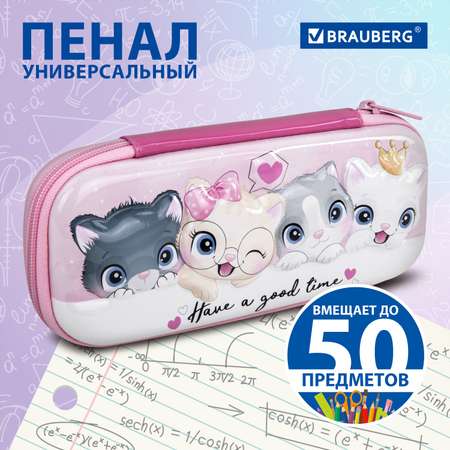 Пенал косметичка Brauberg Cats