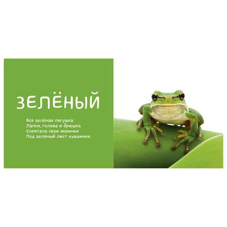 Фотокнига Clever ВК. Я учу цвета. Коваль Т.