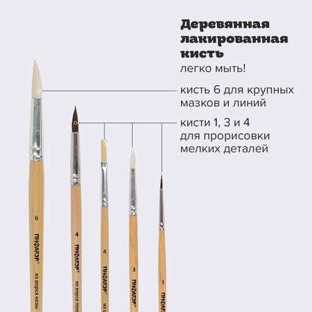 Кисть Пифагор 5 шт. (коза, пони, щетина)