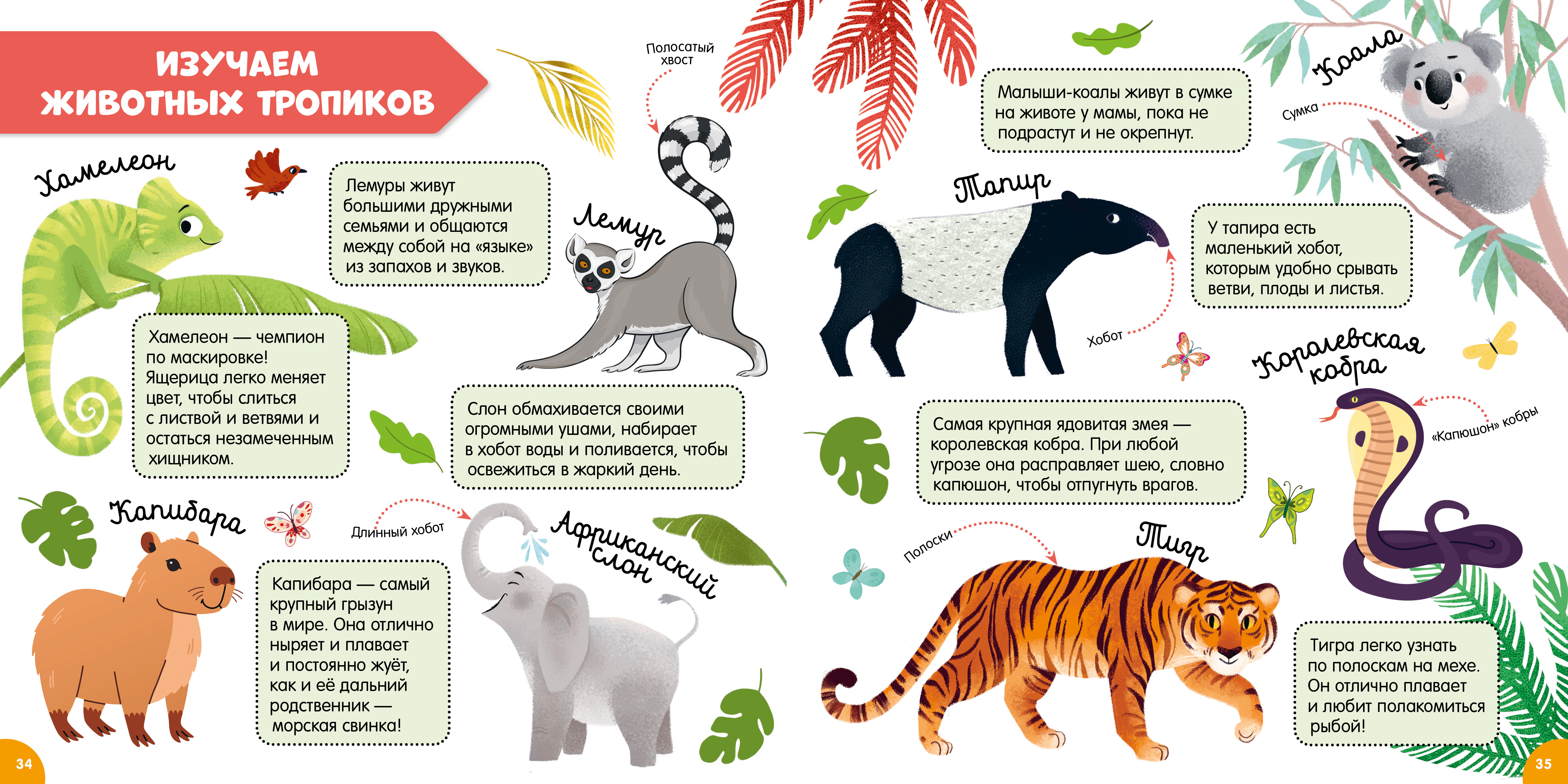 Книга Clever Главная книга малыша о животных - фото 3