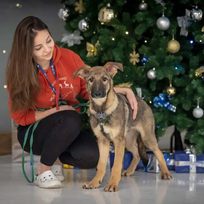 Собака Юдо - фото 3