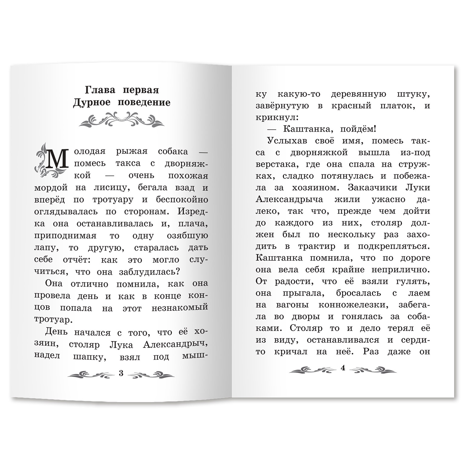 Книга ТД Феникс Каштанка - фото 9
