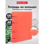 Тетрадь со сменным блоком Brauberg клетка 120 лист.