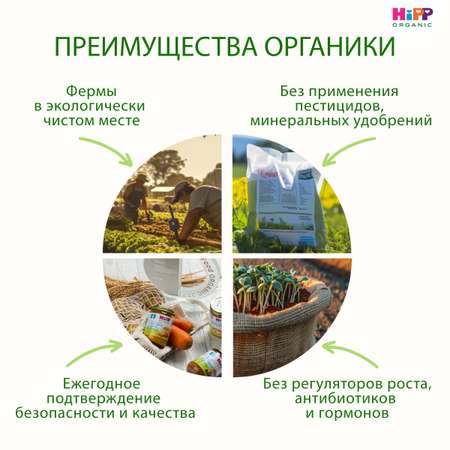 Каша Hipp цельный рис-фрукты 190г с 5месяцев