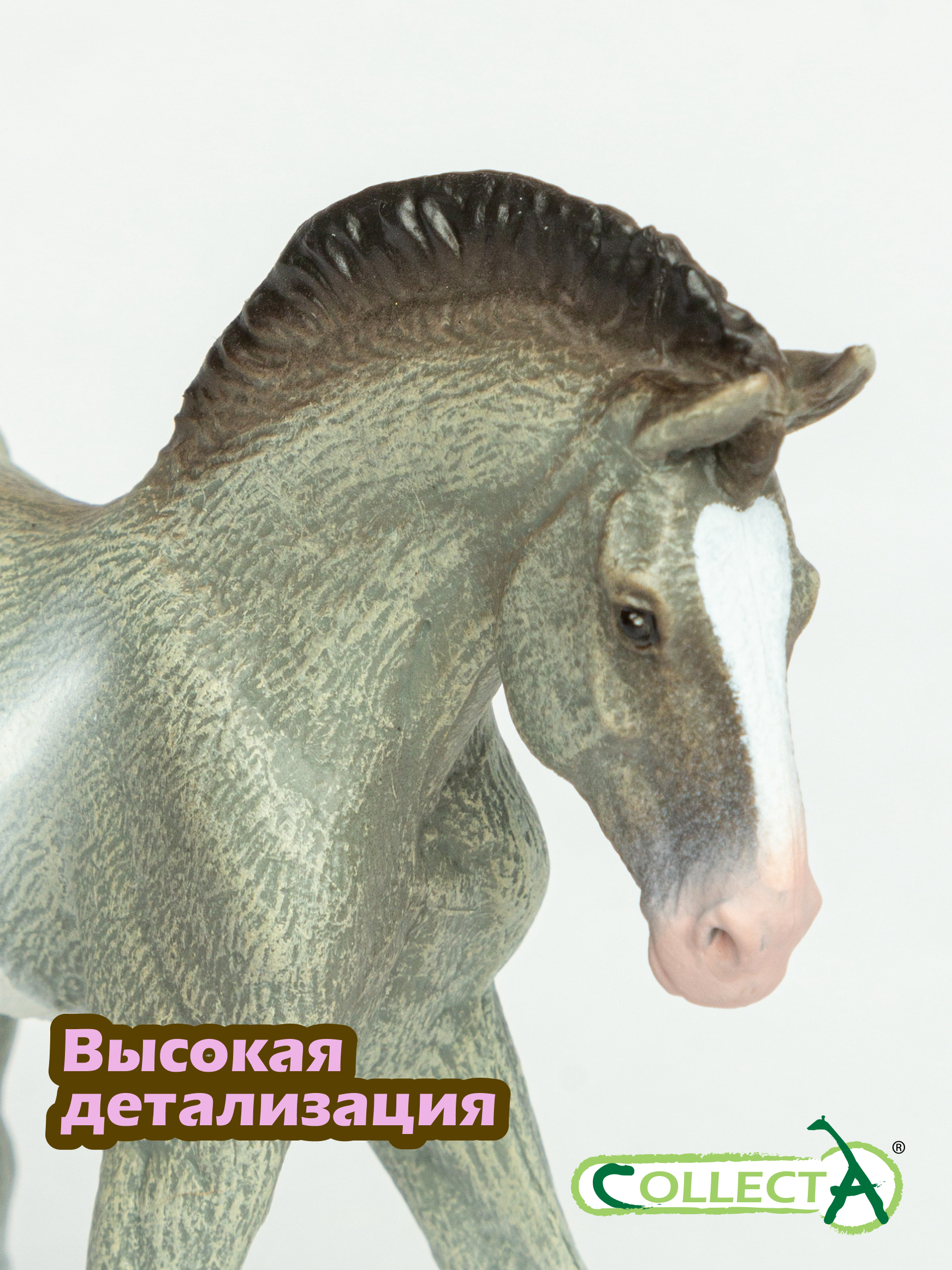Фигурка Collecta Жеребёнок Клейдесдальский - фото 3