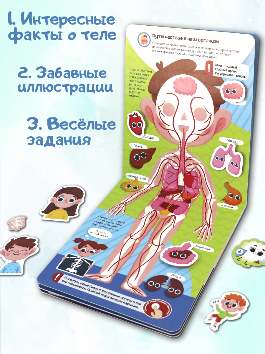 Книга с липучками Malamalama Моё тело. Энциклопедия для малышей - фото 2