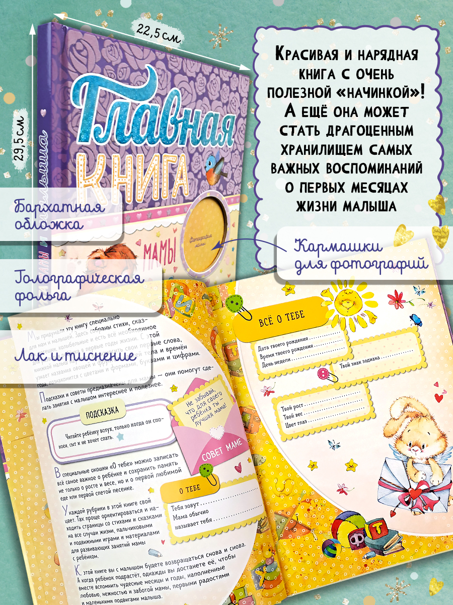 Книга Лабиринт Главная книга мамы и малыша - фото 2