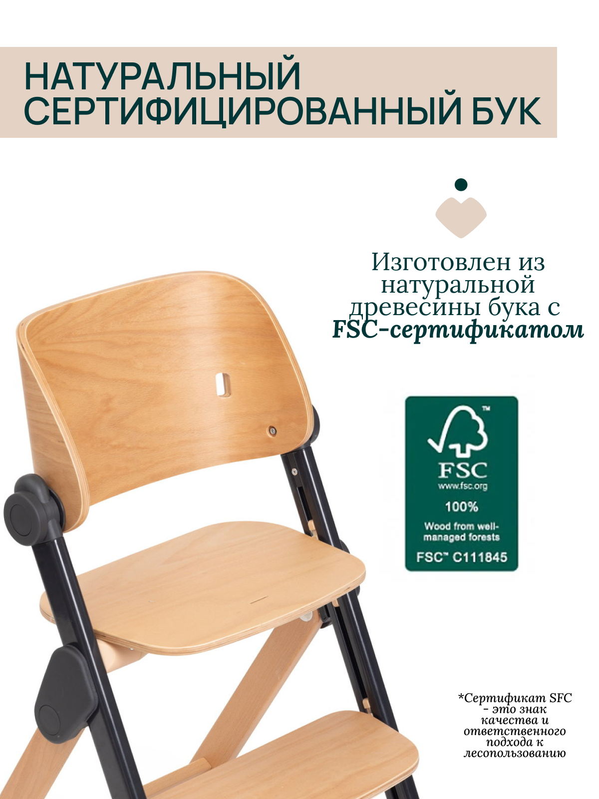 Стульчик для кормления Chicco Meraviglia Ebony черный - фото 11