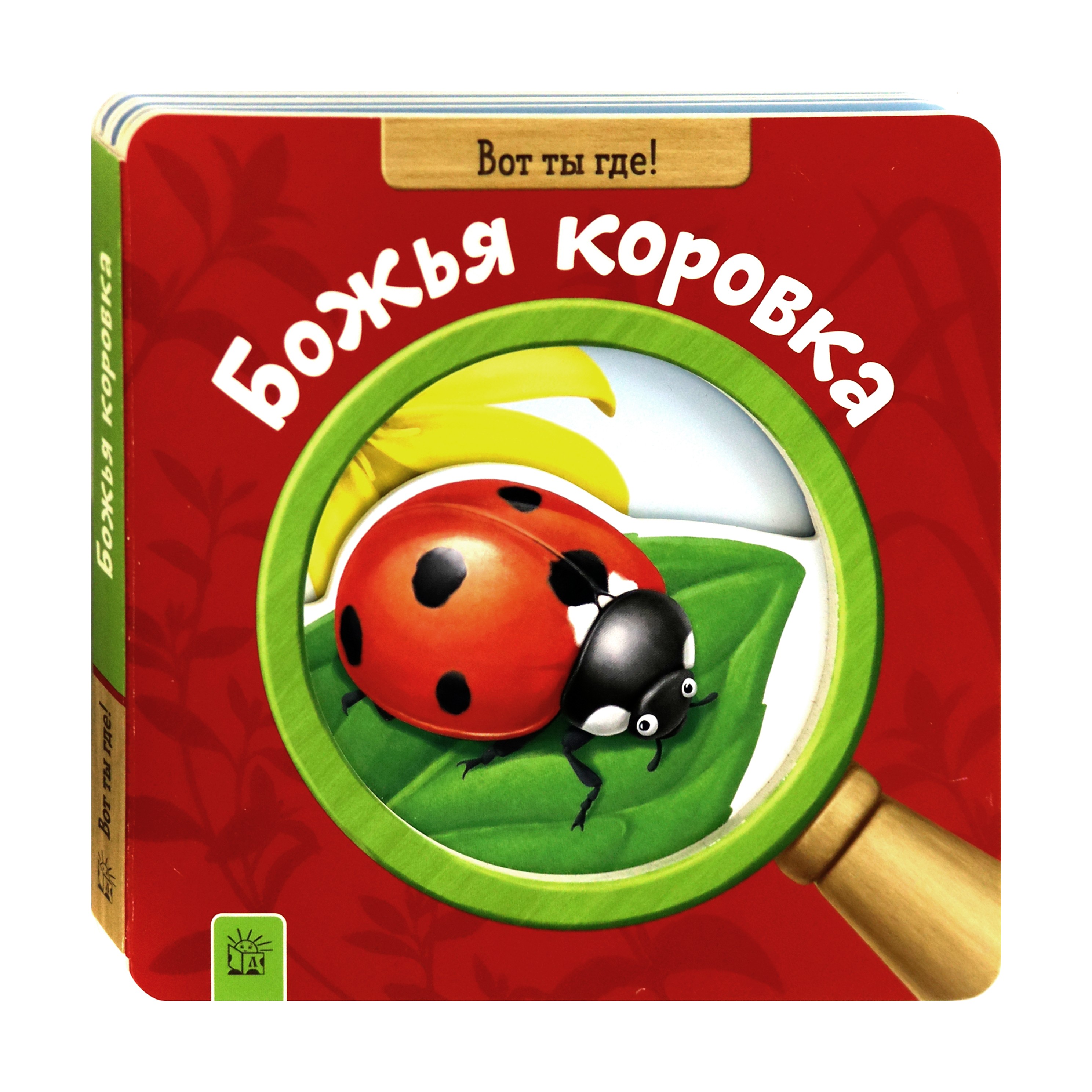 Книга Лабиринт Вот ты где! Божья коровка - фото 2