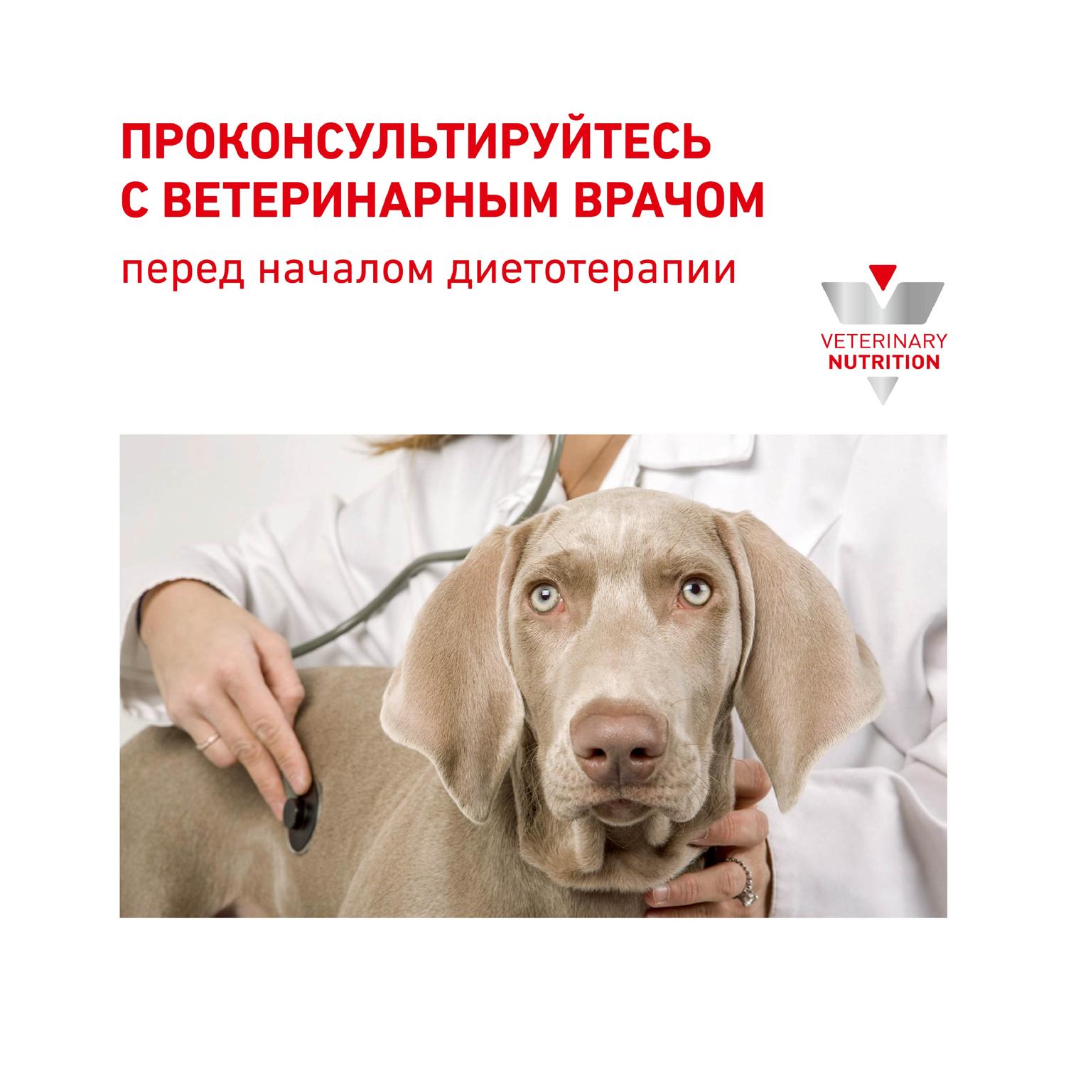 Корм для собак ROYAL CANIN Diabetic Special Low Carbohydrate при сахарном диабете консервированный 0.41кг - фото 8