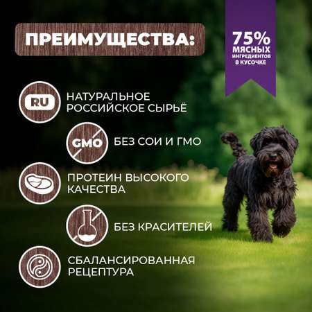 Корм для собак Родные корма По-старорусски гусиные кусочки в соусе 410г