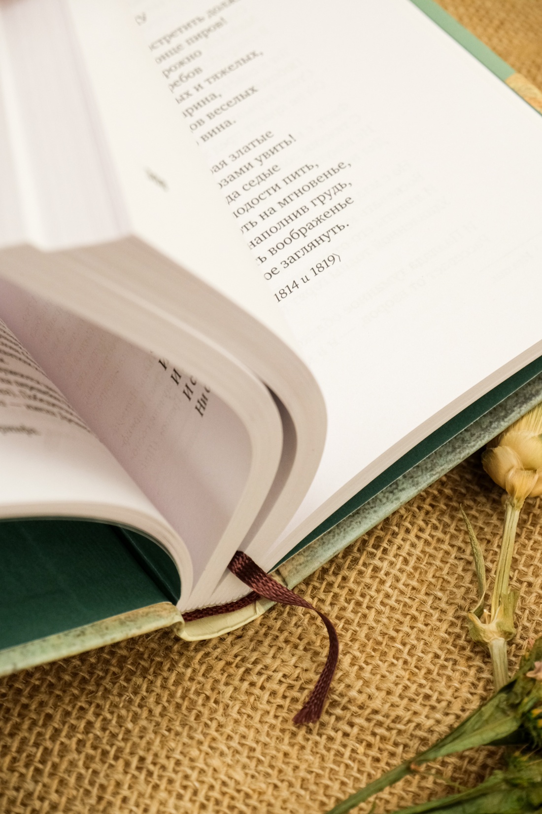 Книга АЗБУКА Азбука-поэзия/Пушкин А., Лермонтов М., Тютчев Ф./Золотой век русской поэзии - фото 7