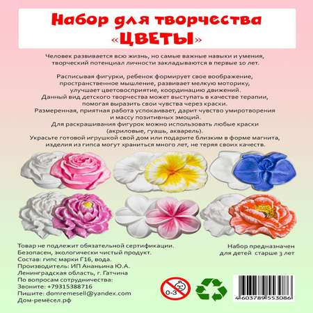 Набор для творчества Дом ремёсел Цветы роспись красками