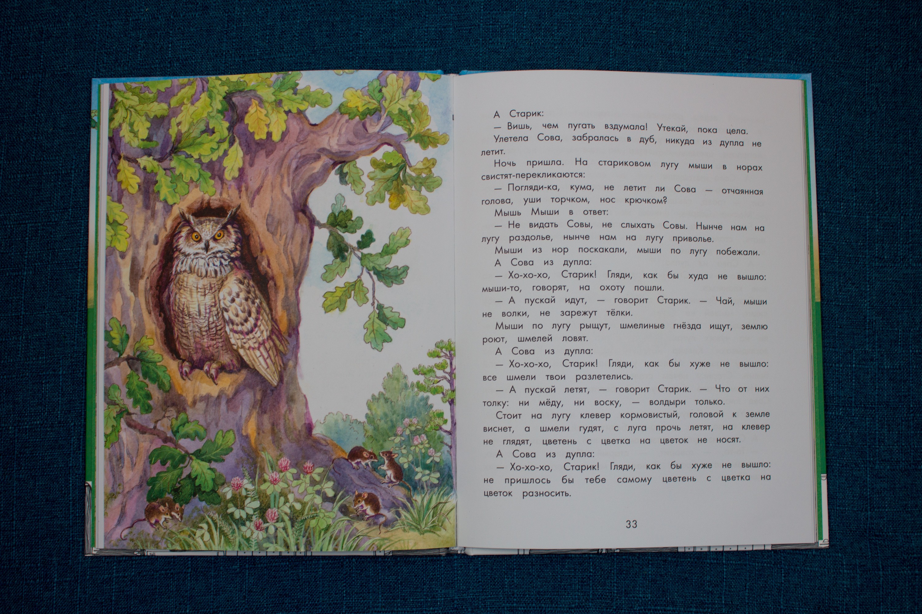 Книга Качели Про Мишку и Муравьишку Лесные рассказы - фото 5