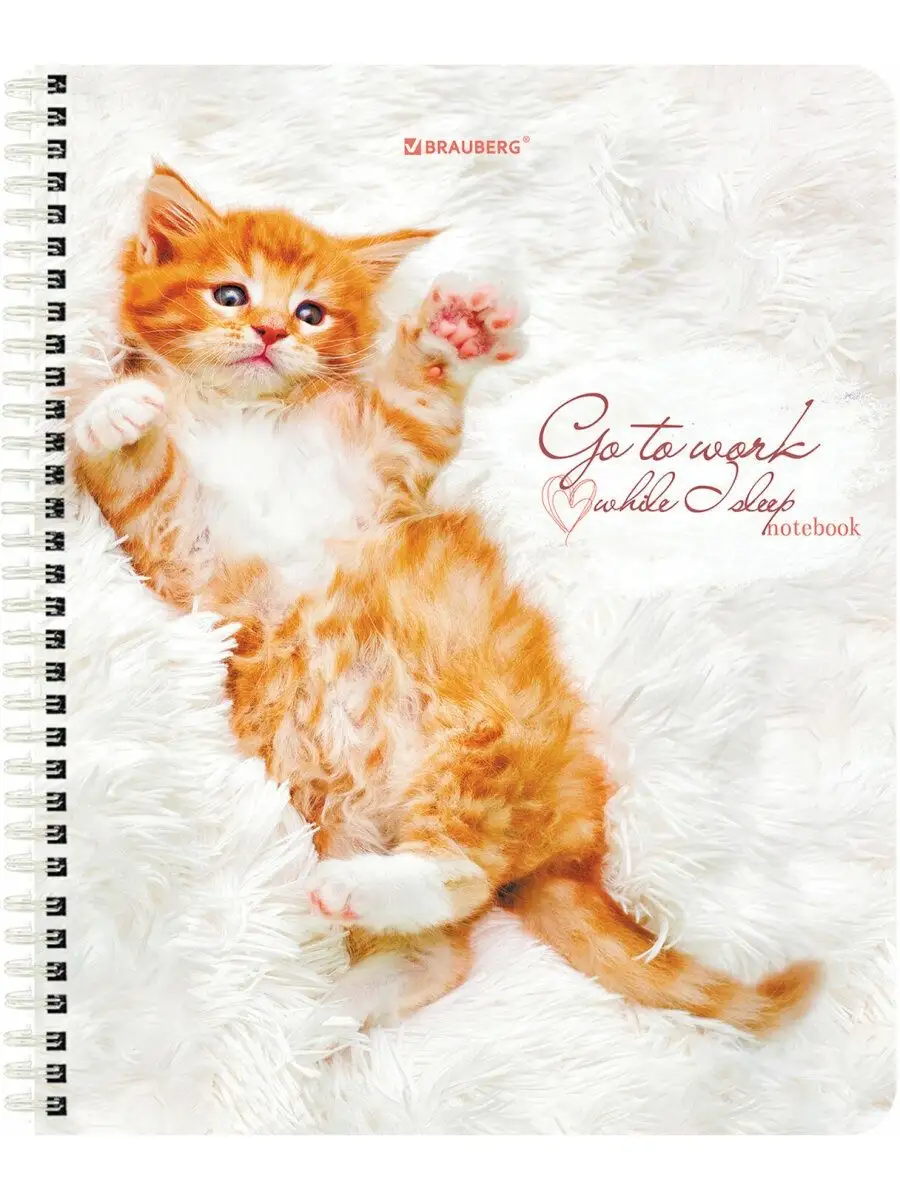 Тетрадь Brauberg клетка 96 лист. 4 шт. - фото 5