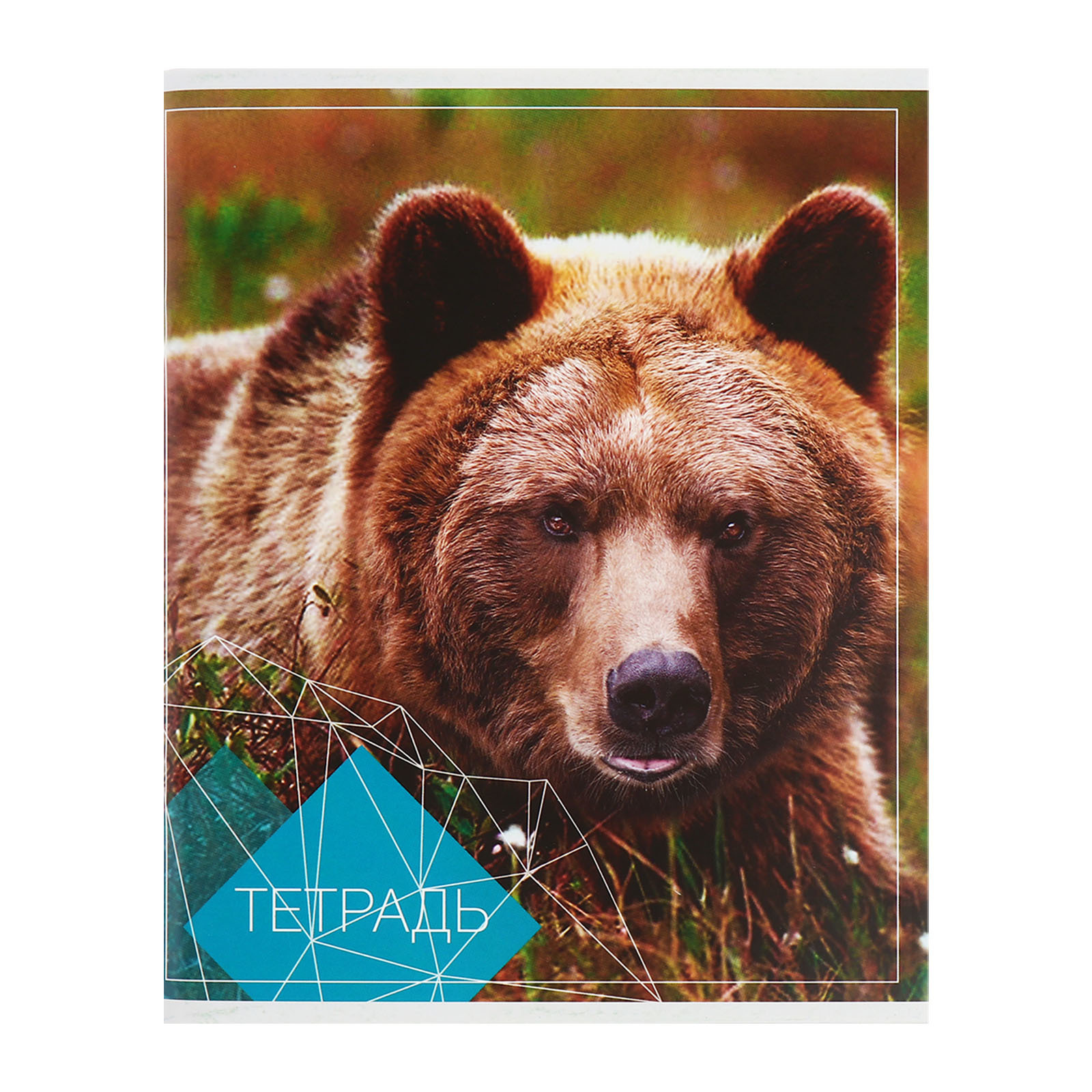 Общая тетрадь Calligrata клетка 96 лист. 4 шт. - фото 4