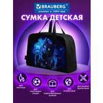 Сумка Brauberg
