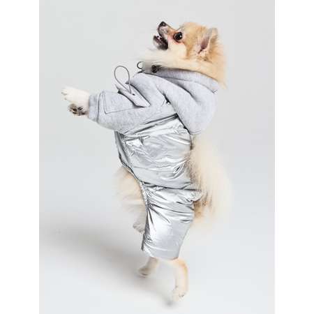 Комбинезон для собак PIFPAF DOG