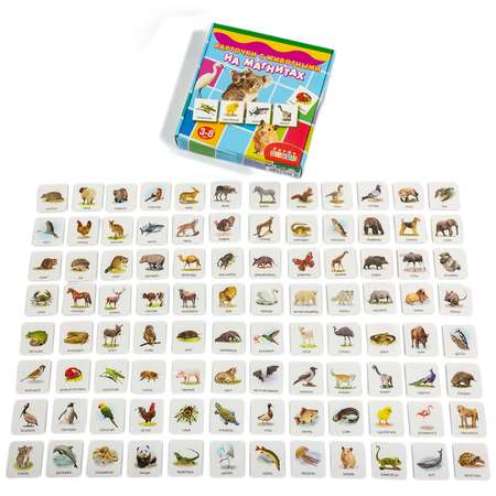 Настольная игра Дрофа-Медиа