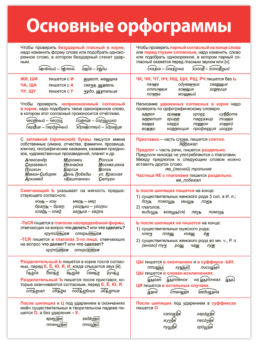 Набор обучающих плакатов Дрофа-Медиа Русский язык 1-4 класс 4021 - фото 6