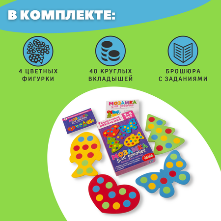 Игрушка Дрофа-Медиа сортер
