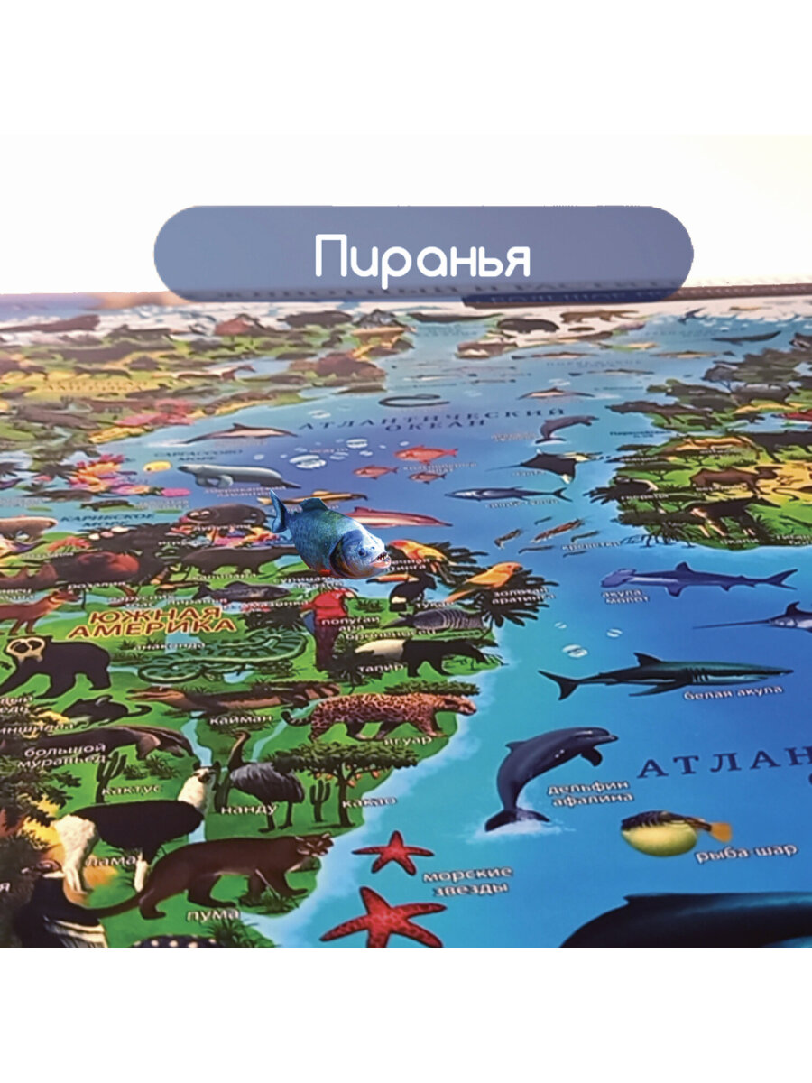 Карта мира Юнландия детская настенная интерактивная Животный и растительный мир - фото 13